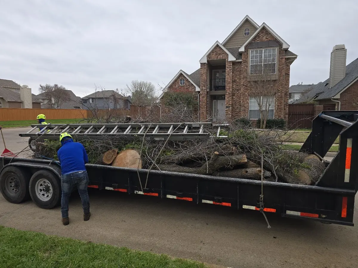 Expert Lot Clearing with proper safety equipment in Clayton Lake